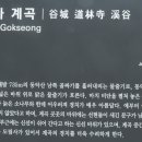 도림사 이미지
