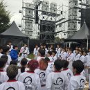 용인대 금메달 태권도 이미지