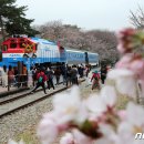 진해구 ⓒ-26 이미지