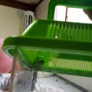 개구리당구장 이미지