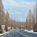 천안종합휴양 이미지