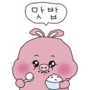 참돈돼지갈비 이미지