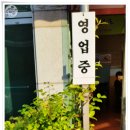 사파동263 이미지