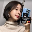야옹이헤어 이미지