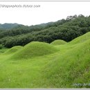 누암리 고분군 이미지