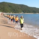 완도