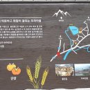 우곡마을입구 Daum카페