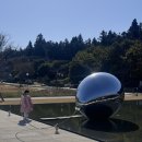 제주바사그미 -제주대형카페 제주 아이동반카페 제주도립미술관카페 제주러브랜드카페