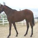 진흥축산 이미지