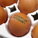 등고개2 이미지