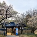 동춘당공원 이미지