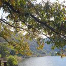 도심건강길 5길 이미지