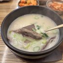 한설원