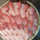 막썰어회 이미지