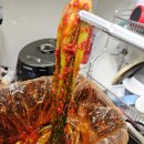 상큼한 여름김치 | 청우김치 청우진짜김치 5kg 대용량갓김치 업소용갓김치 맛있는밥반찬 김치주문 후기