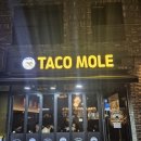 타코몰리(부천점) | 부천 옥길동 타코 맛집 🌮 타코몰리 부천점