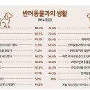 메타펫연구소