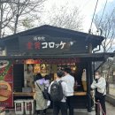 금상투어 이미지