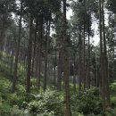 영화마을 이미지