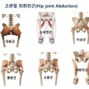 팀비식스 이미지