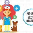 반려견 이해하기(펫) 이미지