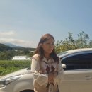 가나의료기 이미지