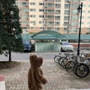 라르고경양식 이미지