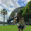 엔젤피자 | 시드니 🇦🇺 | 힉슨로드보호지역_포토스팟. 록스마켓_화덕피자. 엔젤플레이스