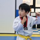 SOO태권도장 이미지