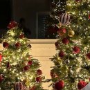 BUBBLE ZONE(버블존) 이미지