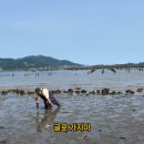 월등도캠핑장 이미지