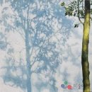 월배장애인재활복지센터 이미지