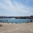 안덕면 사계포구 이미지