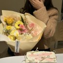 헤쎄드플라라 이미지