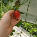 건양농장 이미지