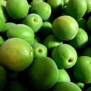 매실한우농장 이미지