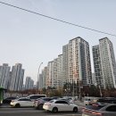 미성비즈니스 | 반포동 서래마을 중식 맛집, 회식하기 좋은 차이니즈 레스토랑 - 서래향 추천후기