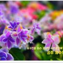 색동 이미지