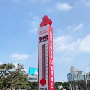 법인제주사랑