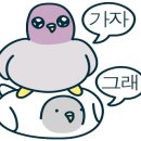 멍디브 이미지