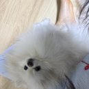 두둥 이미지