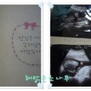 해솔중기 이미지