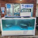 신영수산 이미지