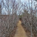 모슬포동백다방 | 제주도 (2022.2.13(일)~17(목), 4박5일) ... 마라도, 다랑쉬오름, 물영아리오름