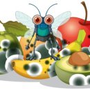 서울가원초등학교 이미지