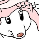 윤애견미용 이미지