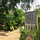 피에스팜 이미지