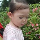 한봉축사 이미지