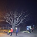 열녀 진주정씨 정려 이미지