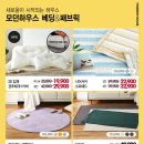 쇼핑의 정석
